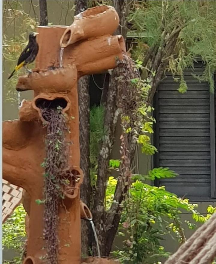 Pousada Recanto Dos Passaros Balsas Exteriér fotografie